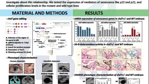Laura Sánchez attended at the 10th Annual NGS & Clinical Diagnostics Congress 